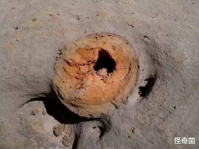 科学家|地球文明在重复轮回？青海白公山，发现15万年前“铁管”