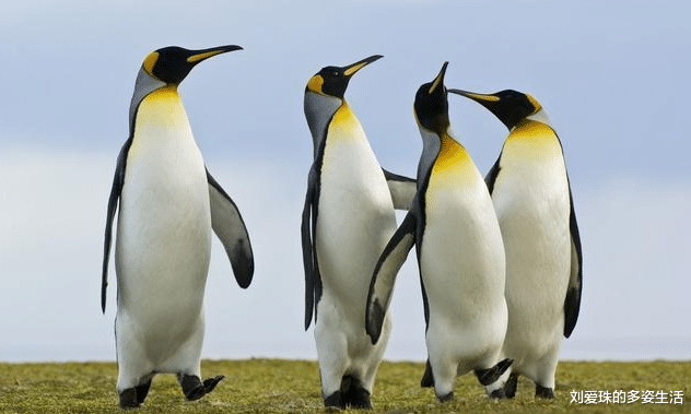 「数学」8个趣味冷知识！为什么没有诺贝尔数学奖？