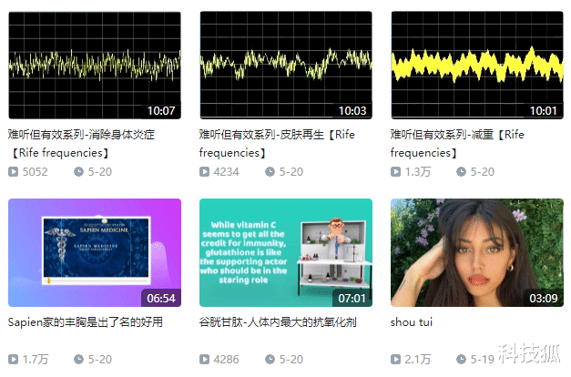 bilibili|B站这些视频太野了吧