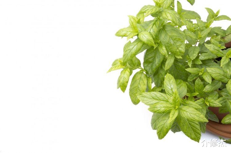 射手座|9月下旬，桃花新开，千里姻缘一线牵，将再次携手前任的四大星座