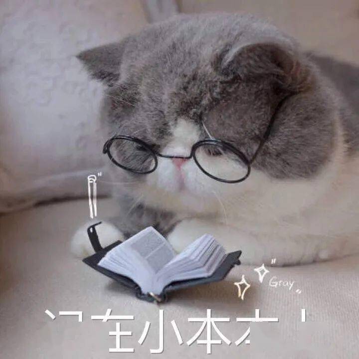 穿衣搭配|2020最受欢迎的女生身高排行榜！第一名你绝对猜不到！！