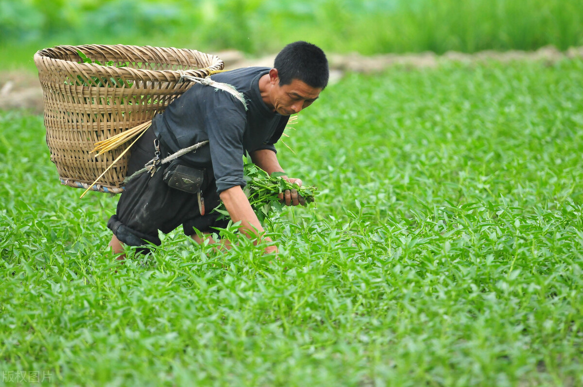 牛市|股市最大的骗局——牛市