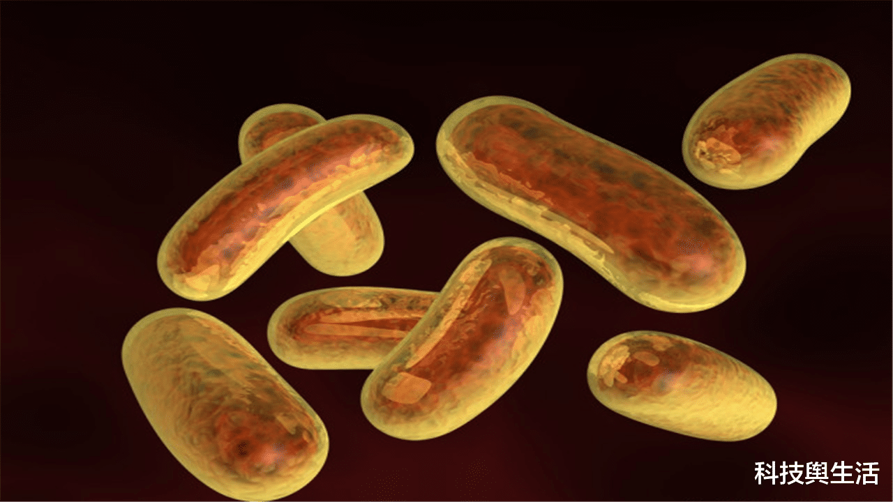 太空|切尔诺贝利的新型生物,吃辐射产生能量,解决太空辐射靠它了!