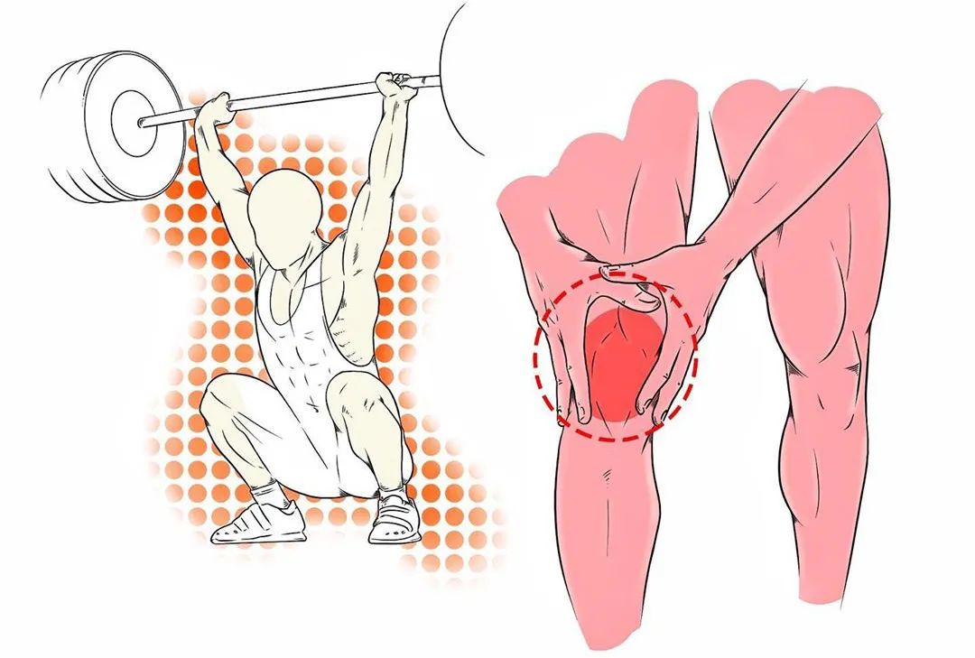 深蹲|男女都该多练的深蹲，你真的会练么？