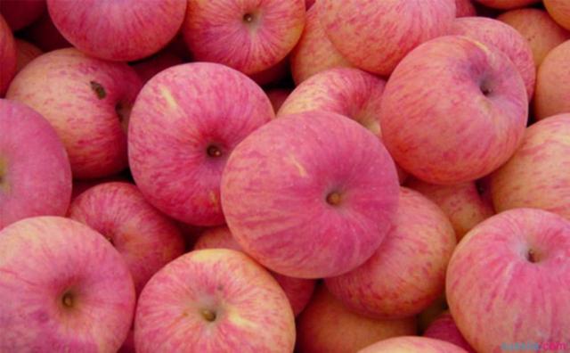 「苹果」减肥最“狠”的水果,效果远比香蕉管用,做成高颜甜品,可当早餐