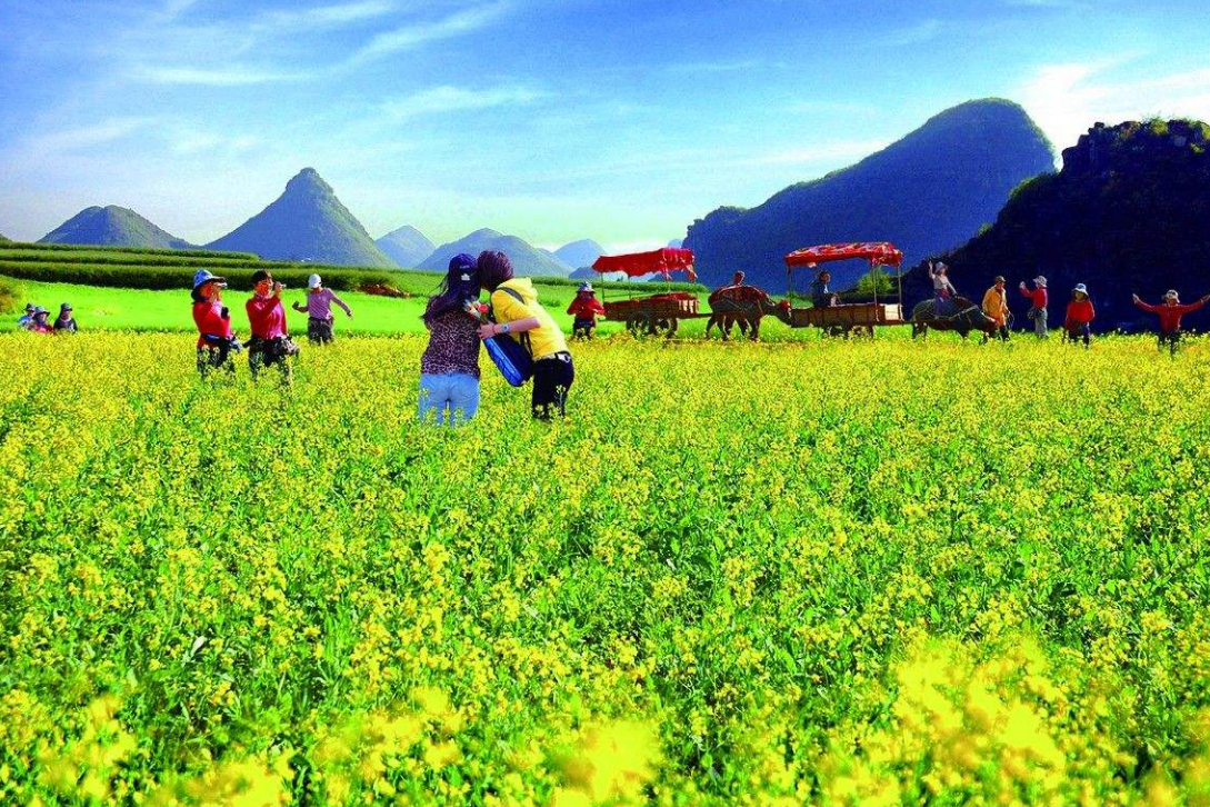 [自媒体]未来农村将出现4个“造富风口”，聪明人已布局，你还在犹豫吗？