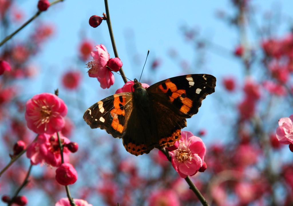 射手座|被好运眷顾的几大星座，事业一飞冲天，下半年日子越过越富裕