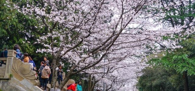 【五一劳动节】五一假期倒数计时,全国超4000家景点在五一需预约浏览,请知悉