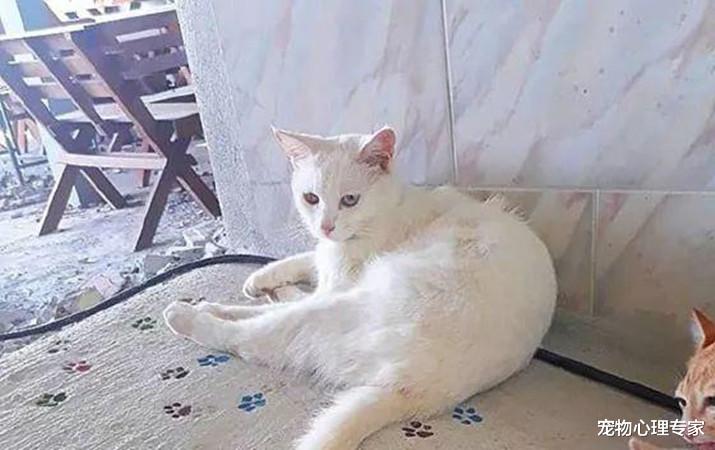 女子发现水泥地有梅花印记，正想发火，低头一看却不知道咋办了