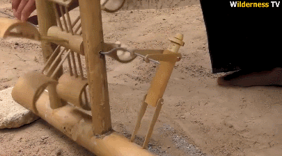 豪华狗窝：中式泳池豪宅、田园风情别墅、三层跳台别墅，想住