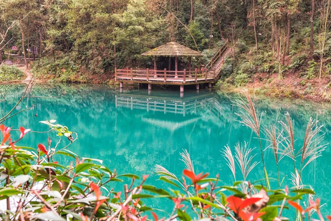 「重庆」在最美的季节,打卡主城隐秘的净土
