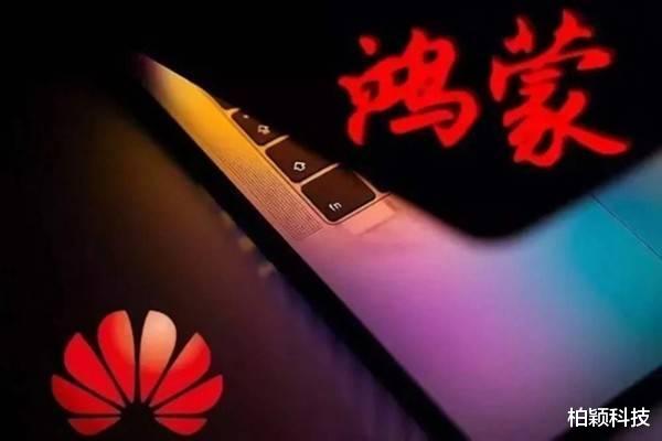 操作系统|中国第一大手机操作系统已有过亿用户，不是华为鸿蒙