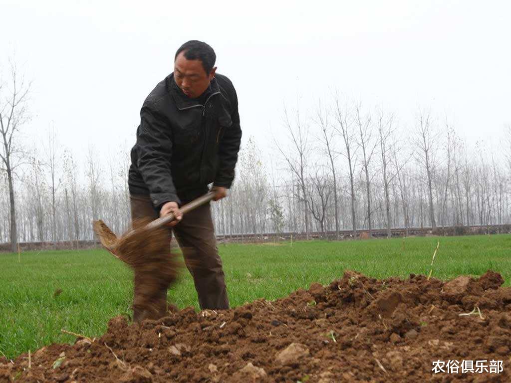 密山|比起厕改和土地改革,坟地改革是最难实行的,暴力平坟更是不可取