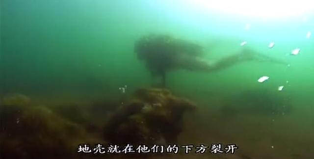 『科学家』哪有什么深海恐惧！8.9分纪录片告诉你来自海底的求生欲