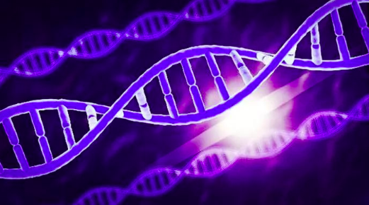 基因|人类原本不属于太阳系？科学家发现人类80%的基因有可能被锁死