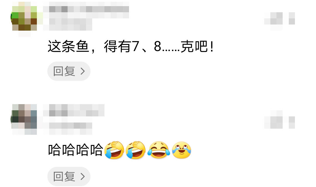 ▲男子钓鱼钓到“巨”鱼兴奋发朋友圈炫耀,鱼:你这么装我死不瞑目