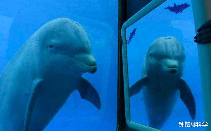 科学家|人死了之后，身体和意识去了哪里？