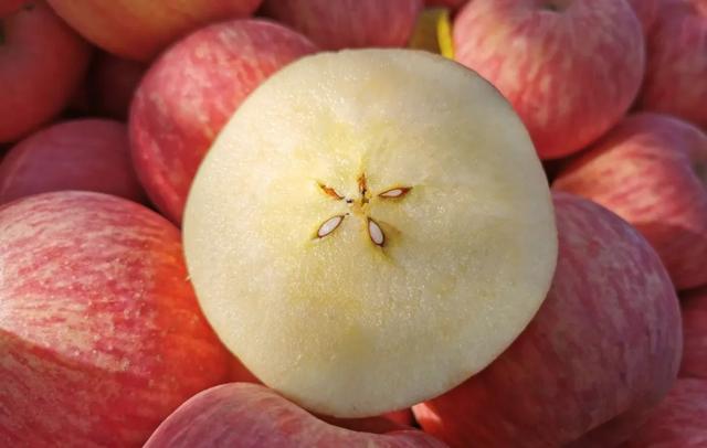 「水果」建议中老年人：小暑前后，若条件允许，这5种水果每天可多吃一点