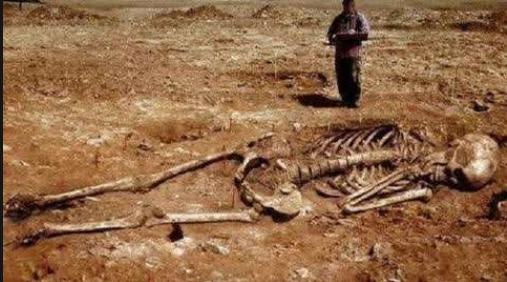 考古学家|考古界的秘密遭曝光！不敢公开的秘密隐藏着不为人知的奥秘