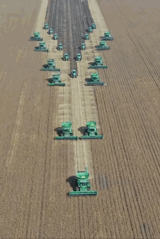 观察者网独家视频|又阅兵了？不，这是北大荒秋收