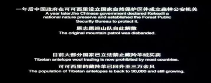 你好吴所畏|“中国最蠢的一群人”,都在这里了