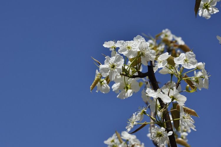 运势|9月中，运势如虹，好运接二连三，苦尽甘来！喜事不断的4大生肖！