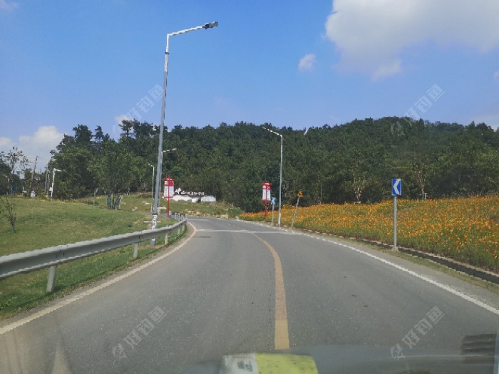 鲫鱼|许久没钓鱼，一钓就上瘾