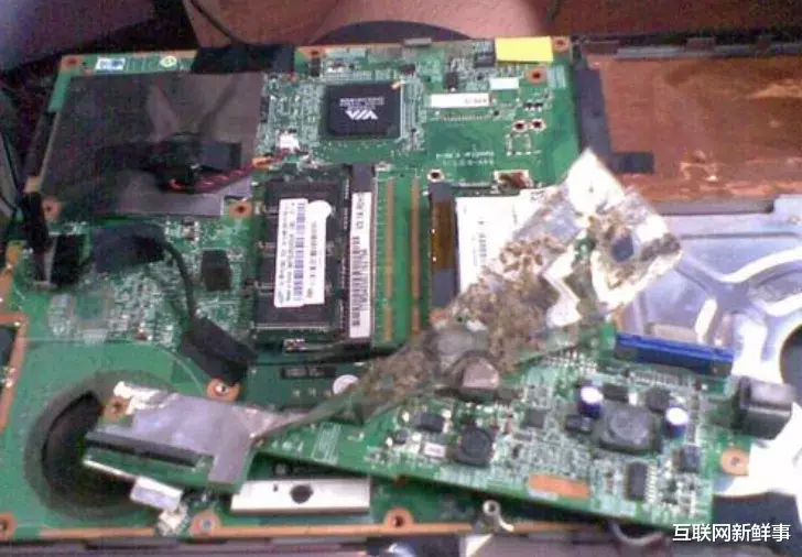 微信|为什么电脑主机里经常会有蟑螂？