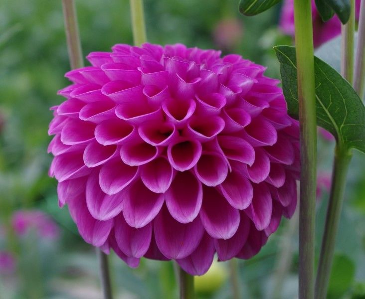 旧爱|9月开始，桃花依旧，与旧爱两情相悦，真爱携手相伴的4大星座