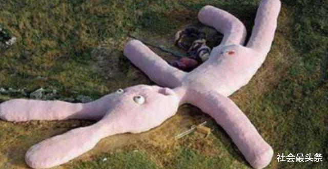 兔子|当年被卫星拍到的“巨型玉兔”,轰动一时,如今却成这个样子?