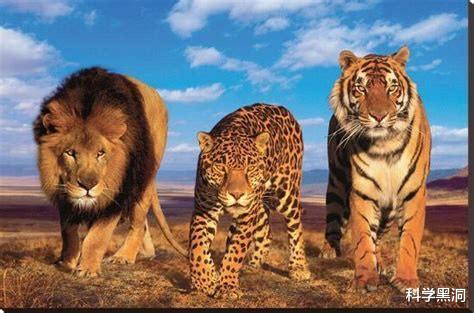 #恐龙#如果人类有天敌,你认为这种生物该具备什么特征?