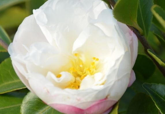 星座男：6月初，贵人帮万事兴，4属相大运一到，轻松获利，日子越来越好