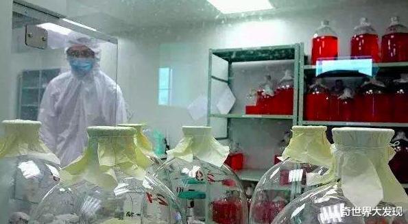 【】地球仅存的天花病毒保存在美俄实验室，为什么拖延40年还不肯销毁