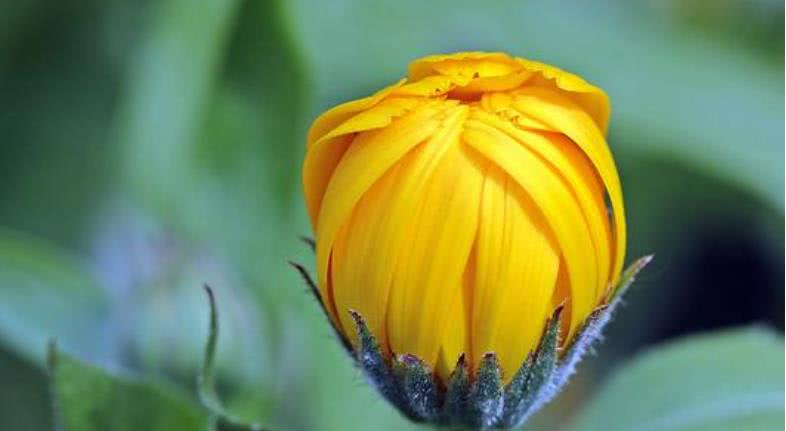 [属蛇]7月开始财运上门，横财不请自来，收获满满的生肖