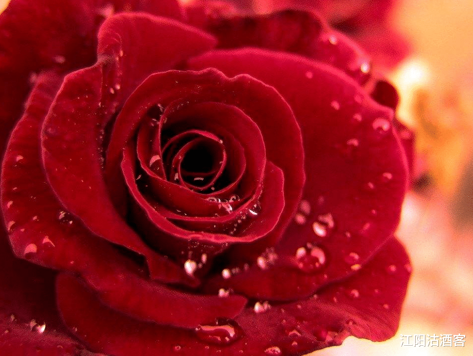 「」7月6号好运不离身的3属相, 左手财神, 右手贵人, 鼠年升官发财!