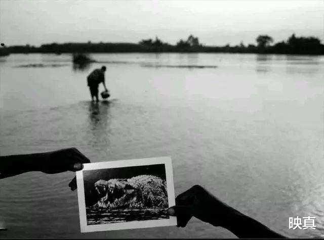 巨鳄|传奇巨鳄古斯塔夫，十年杀300人，被机枪扫射过，至今仍逍遥野外