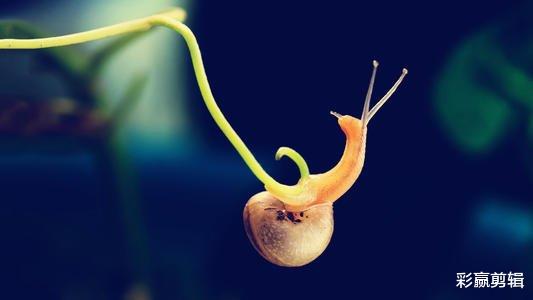 旧爱|未来一个月，与旧爱复合成功，前任主动找你和好如初的四个星座