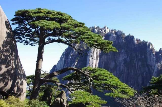 「」中国最著名的五大名山，爬过三座算合格，全部去过算得上旅游达人