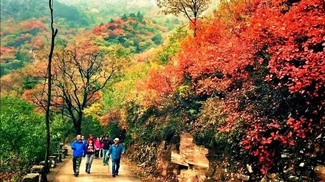 |醉赏南太行秋沟红韵，尽享童话般的世界