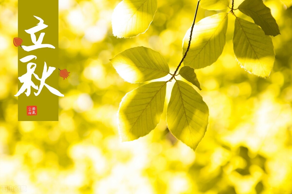 南瓜|8月7日立秋后多食用这“六宝”，“秋老虎”不打扰，一家老少身体好