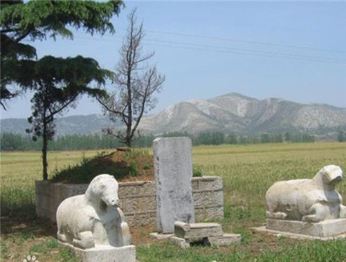 |他22天收复百万领土,却在睡觉时被杀,如今坟头长满杂草都无人理