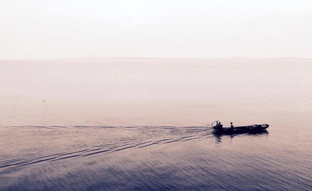 【长江】【鱼友故事】长江禁渔大半年,怎么鱼更少了