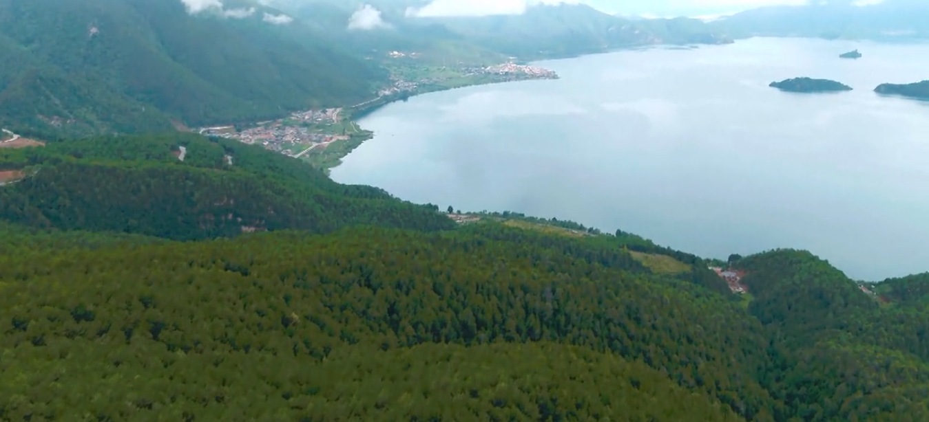 豆瓣|豆瓣8.4，如果没有这个丑闻，这档综艺说不定能“封神”