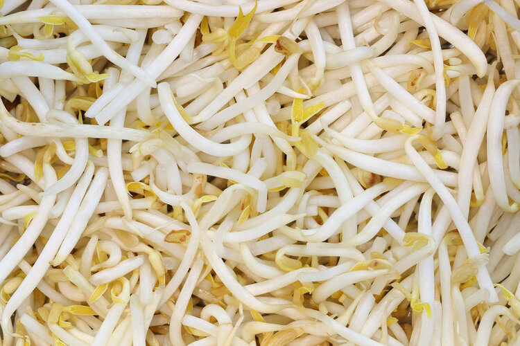 肝脏|肿瘤科主任:冰箱中4种食物,或是癌细胞“温床”,劝你管住嘴