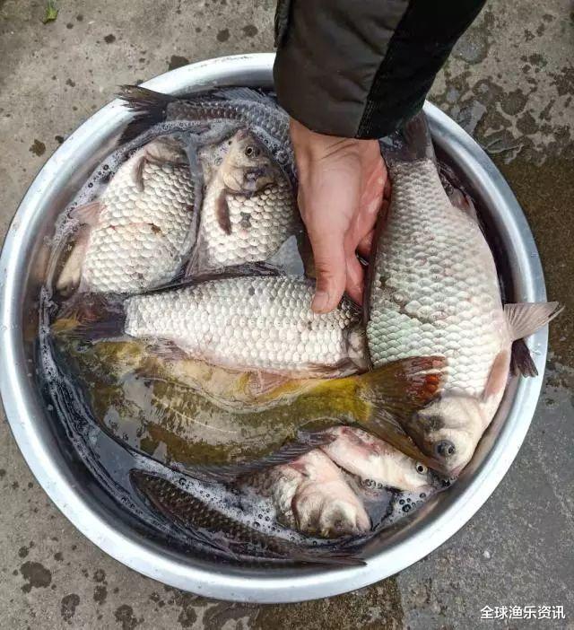 []谷雨后，假如碰到这几种情况，万万不能去钓鱼，哪怕高手也得空军