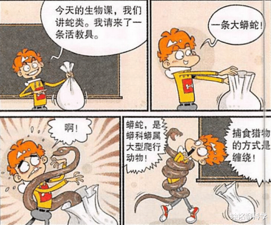 毒蛇|毒蛇和无毒蛇的弱点分别是什么？