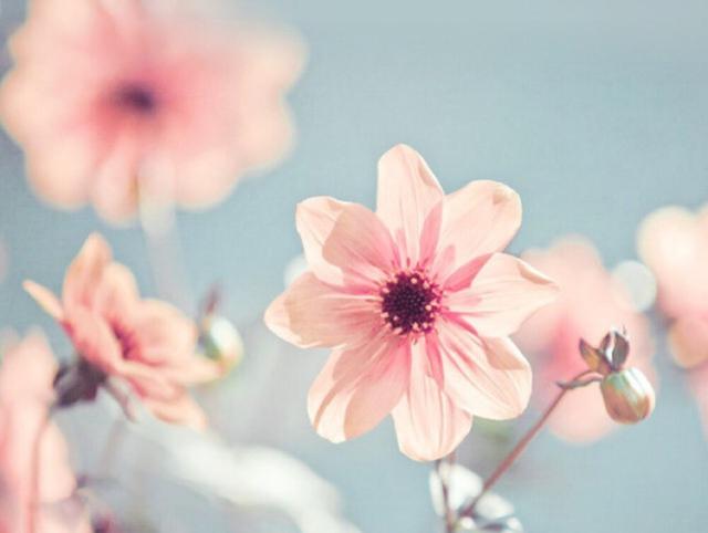 白羊座|暗恋者很多，却没多少人敢追求的星座，有优秀的光芒，很耀眼