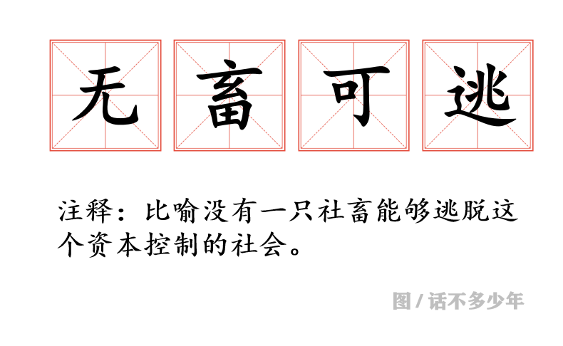 港珠澳大桥|港珠澳大桥上钓鱼？钓鱼佬的沙雕，你根本想象不到