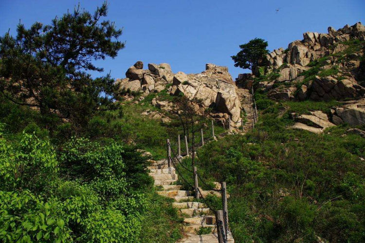 青岛市|青岛“或增”一5A景区，被称为齐鲁“小黄山”，距市中心仅68公里