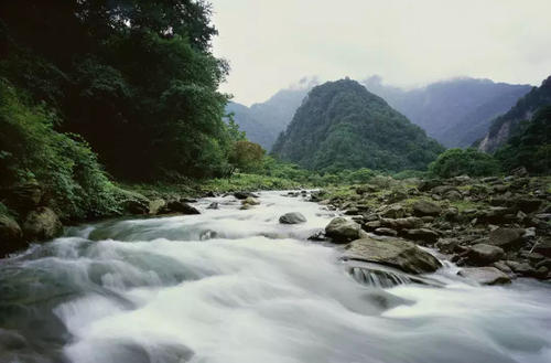 『四川省』四川这个地方出现怪鱼,味道鲜似三文鱼,引多人前往垂钓
